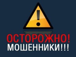 Фото статьи