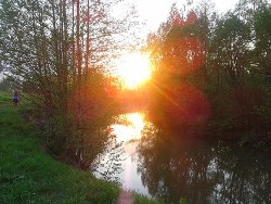 Фото статьи