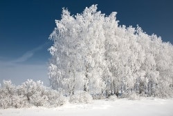 Фото статьи