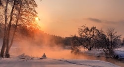 Фото статьи