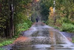Фото статьи