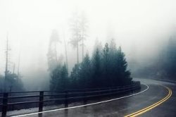Фото статьи