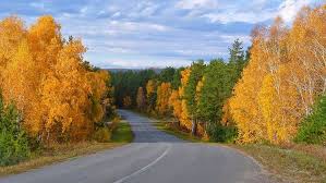 Фото статьи