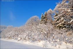 Фото статьи