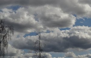 Фото статьи